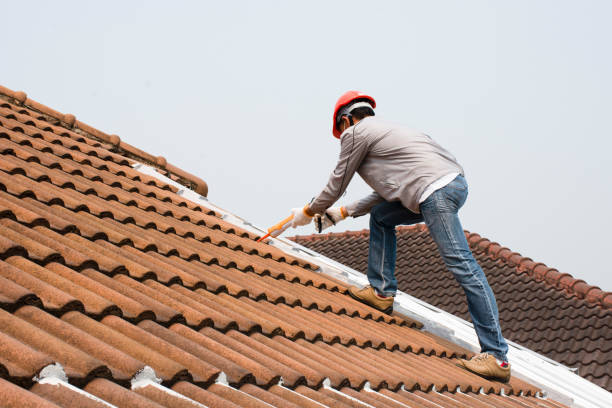 Best Solar Panel Roofing Installation  in Apex, NC