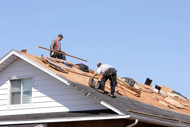 Best Asphalt Shingle Roofing  in Apex, NC